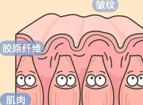 嗨体去颈纹成果如何