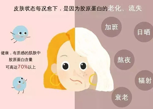 胶原蛋白填充和玻尿酸填充区别