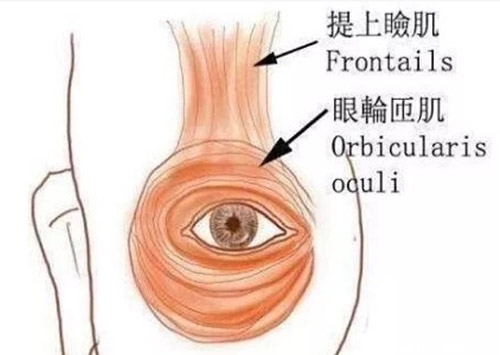 儿童上睑下垂几岁可以手术
