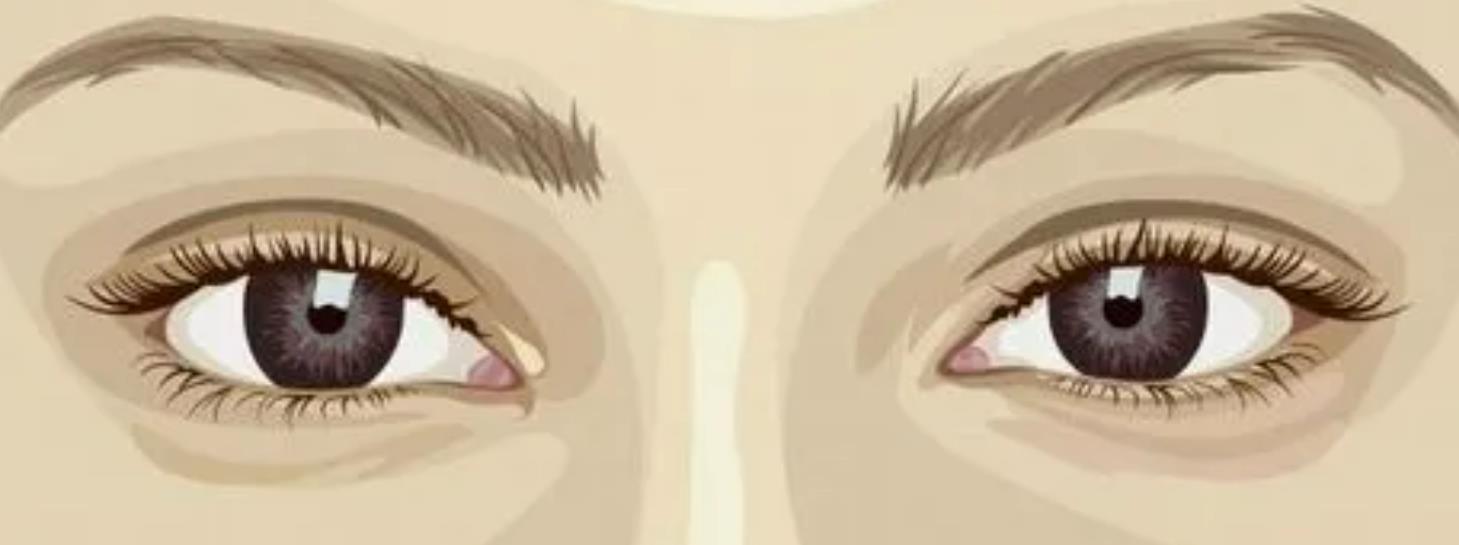 纹眉动漫1.jpg