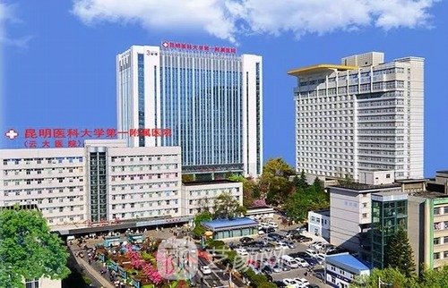 国内较好的整形医院正规排行榜2023，十大热门机构火热出炉