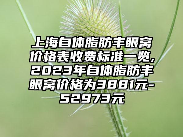 上海自体脂肪丰眼窝价格表收费标准一览,2023年自体脂肪丰眼窝价格为3881元-52973元