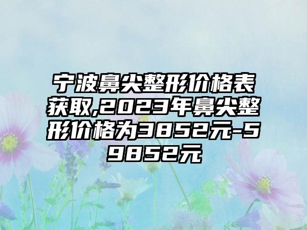 宁波鼻尖整形价格表获取,2023年鼻尖整形价格为3852元-59852元