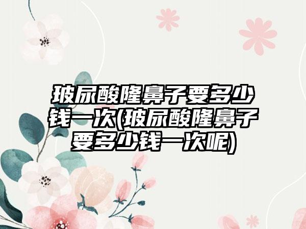 玻尿酸隆鼻子要多少钱一次(玻尿酸隆鼻子要多少钱一次呢)