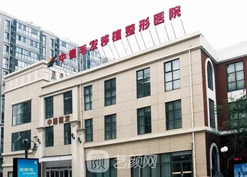 北京中德毛发移植整形医院种植头发价格表|徐霞医生简介
