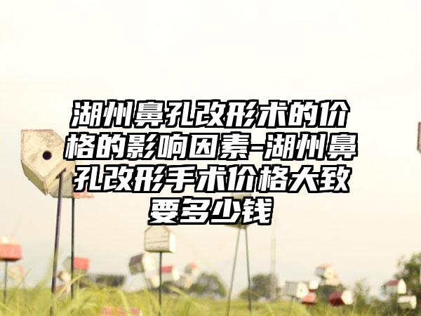 湖州鼻孔改形术的价格的影响因素-湖州鼻孔改形手术价格大致要多少钱