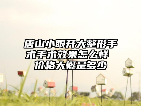唐山小眼开大整形手术手术成果怎么样 价格大概是多少