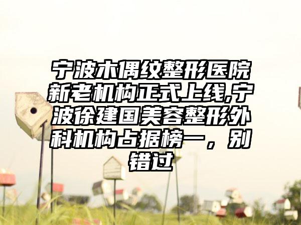 宁波木偶纹整形医院新老机构正式上线,宁波徐建国美容整形外科机构占据榜一，别错过