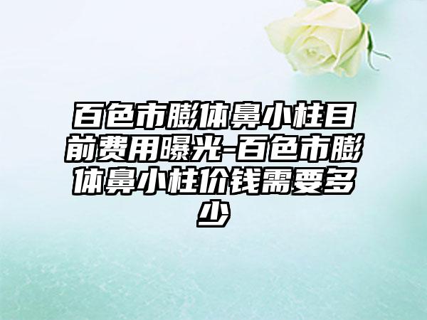 百色市膨体鼻小柱目前费用曝光-百色市膨体鼻小柱价钱需要多少
