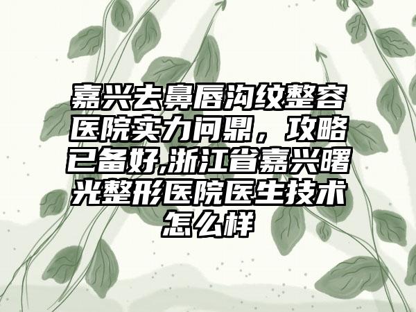 嘉兴去鼻唇沟纹整容医院实力问鼎，攻略已备好,浙江省嘉兴曙光整形医院医生技术怎么样