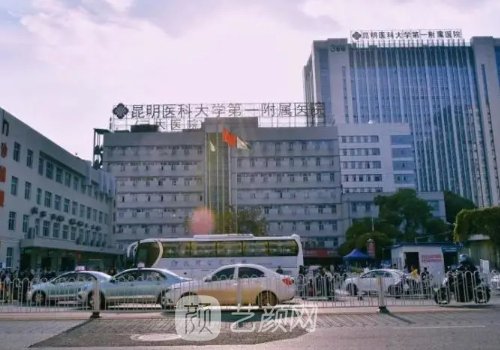 云大医院整形科吸脂实例曝光|2023体验实例上线