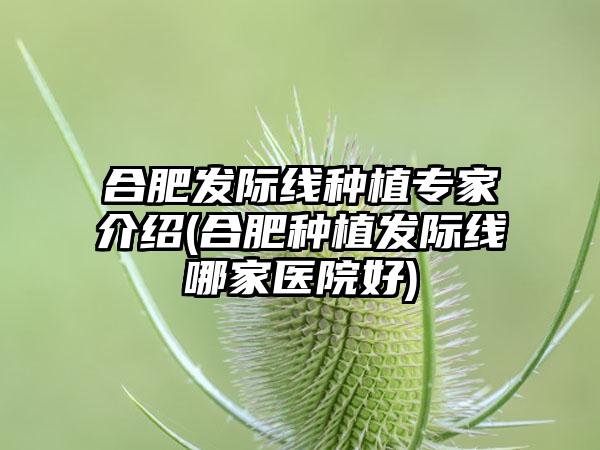 合肥发际线种植骨干医生介绍(合肥种植发际线哪家医院好)