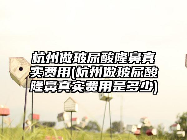 杭州做玻尿酸隆鼻真实费用(杭州做玻尿酸隆鼻真实费用是多少)