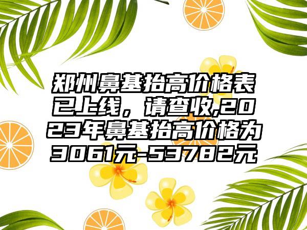 郑州鼻基抬高价格表已上线，请查收,2023年鼻基抬高价格为3061元-53782元