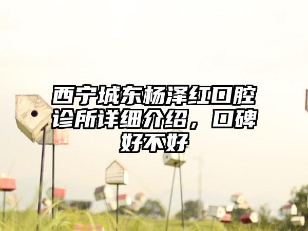 西宁城东杨泽红口腔诊所详细介绍，口碑好不好