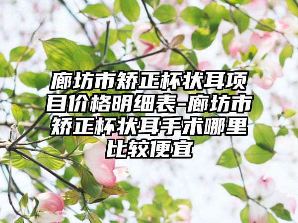 廊坊市矫正杯状耳项目价格明细表-廊坊市矫正杯状耳手术哪里比较便宜