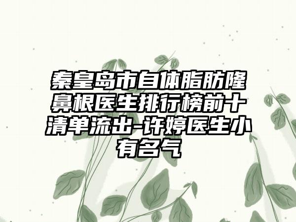 秦皇岛市自体脂肪隆鼻根医生排行榜前十清单流出-许婷医生小有名气