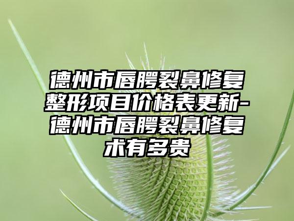 德州市唇腭裂鼻修复整形项目价格表更新-德州市唇腭裂鼻修复术有多贵