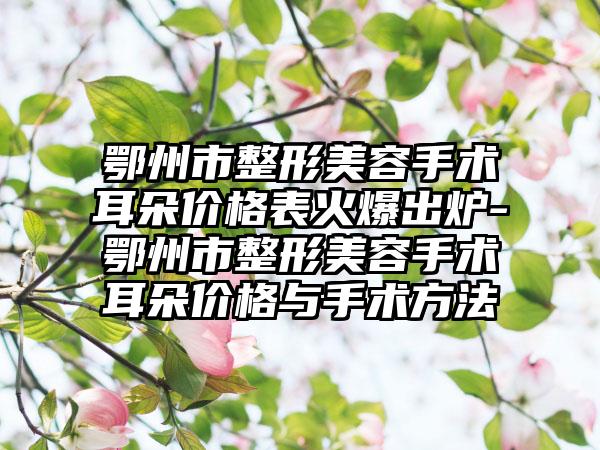 鄂州市整形美容手术耳朵价格表火爆出炉-鄂州市整形美容手术耳朵价格与手术方法