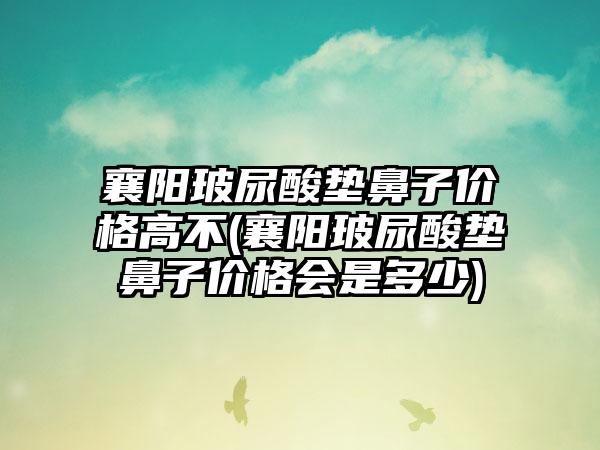 襄阳玻尿酸垫鼻子价格高不(襄阳玻尿酸垫鼻子价格会是多少)