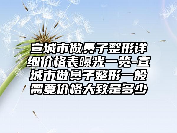 宣城市做鼻子整形详细价格表曝光一览-宣城市做鼻子整形一般需要价格大致是多少
