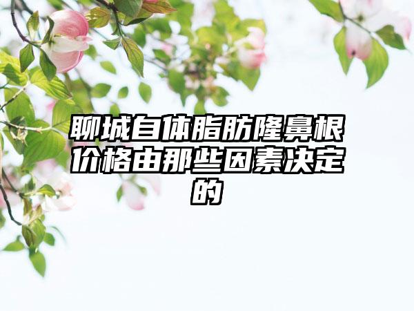 聊城自体脂肪隆鼻根价格由那些因素决定的