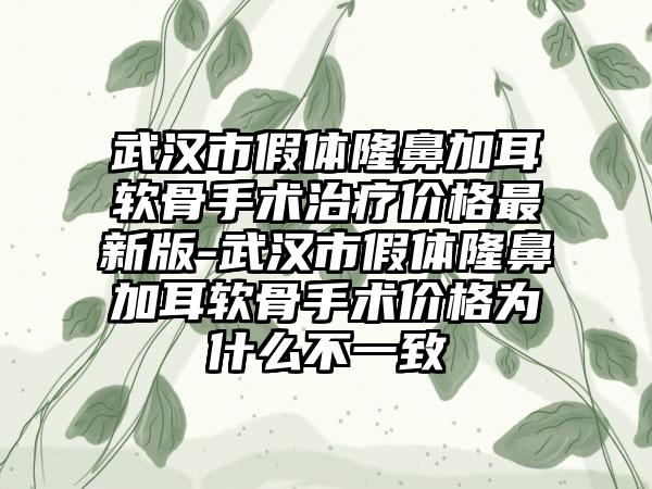 武汉市假体隆鼻加耳软骨手术治疗价格非常新版-武汉市假体隆鼻加耳软骨手术价格为什么不一致