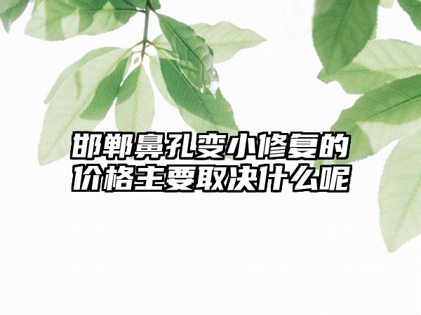 邯郸鼻孔变小修复的价格主要取决什么呢