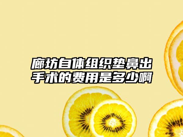 廊坊自体组织垫鼻出手术的费用是多少啊