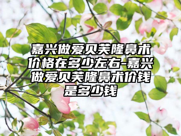嘉兴做爱贝芙隆鼻术价格在多少左右-嘉兴做爱贝芙隆鼻术价钱是多少钱