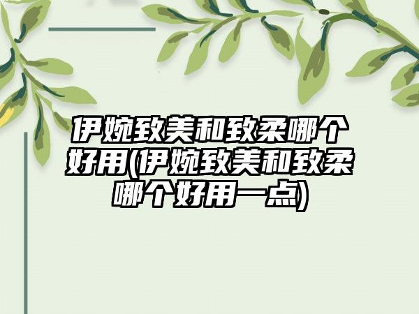 伊婉致美和致柔哪个好用(伊婉致美和致柔哪个好用一点)