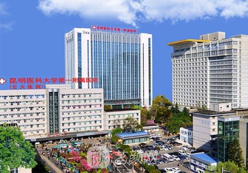 云大医院整形科丰胸实例展示|亲测体验实例展示