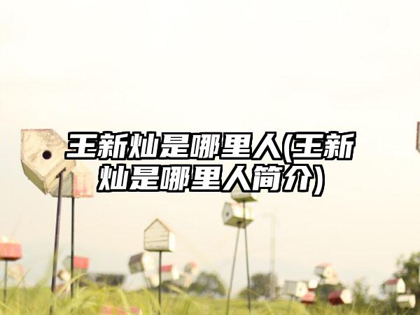 王新灿是哪里人(王新灿是哪里人简介)