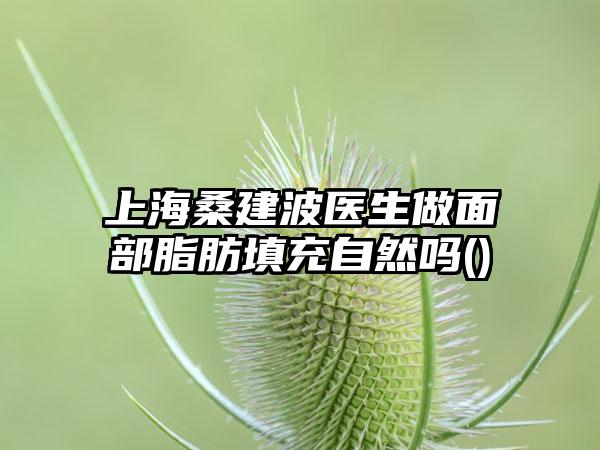 上海桑建波医生做面部脂肪填充自然吗()