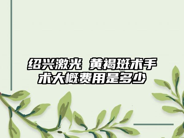 绍兴激光袪黄褐斑术手术大概费用是多少