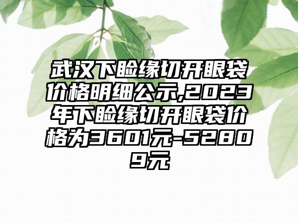 武汉下睑缘切开眼袋价格明细公示,2023年下睑缘切开眼袋价格为3601元-52809元