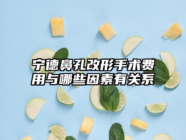 宁德鼻孔改形手术费用与哪些因素有关系
