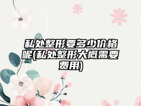私处整形要多少价格呢(私处整形大概需要费用)