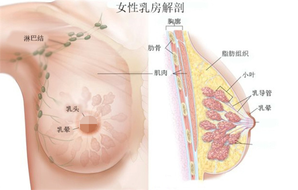 广州荔湾区人民医院邓正军、齐云香清奥怎么样？内窥镜下操作|技术口碑好