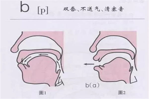 唇腭裂语音治疗