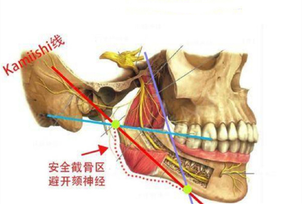 重庆华美潘宝华