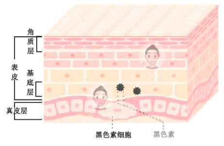 西安交大第一附属医院皮肤科张志灵怎么样？医生简介+祛斑对比