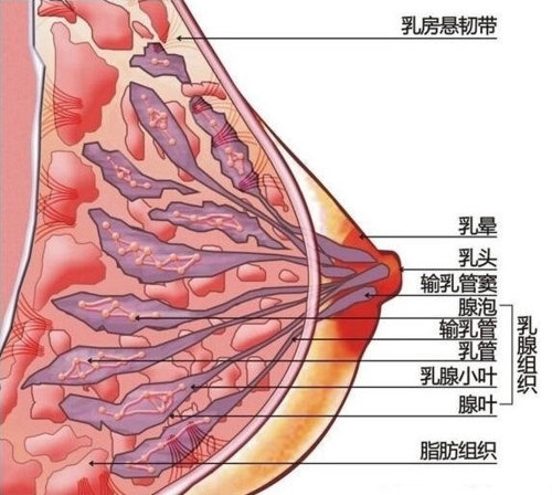 2022年，奉化中医院整形美容科