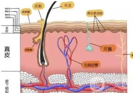 北京301医院韩岩怎么样？技术好吗？面部脂肪填充实例分享