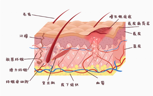 烟台鹏爱医院点阵激光多少钱？详版医院、医生简介曝光