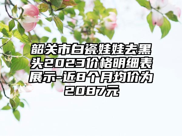 韶关市白瓷娃娃去黑头2023价格明细表展示-近8个月均价为2087元