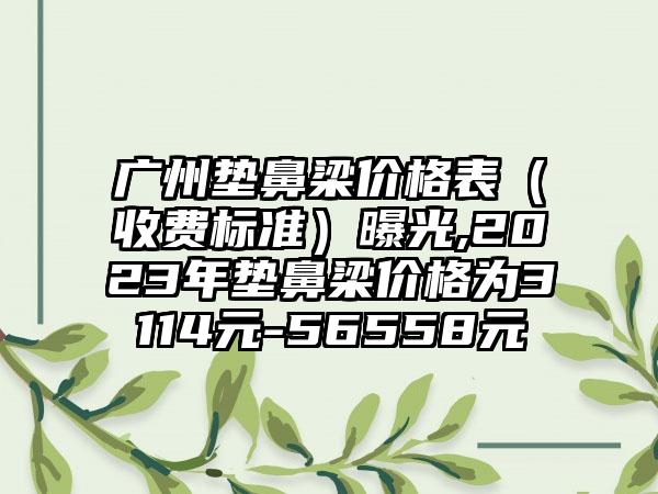 广州垫鼻梁价格表（收费标准）曝光,2023年垫鼻梁价格为3114元-56558元