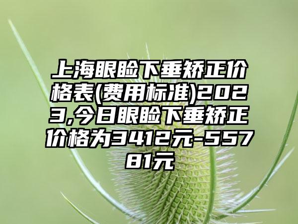 上海眼睑下垂矫正价格表(费用标准)2023,今日眼睑下垂矫正价格为3412元-55781元