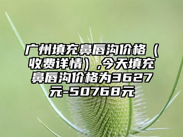 广州填充鼻唇沟价格（收费详情）,今天填充鼻唇沟价格为3627元-50768元