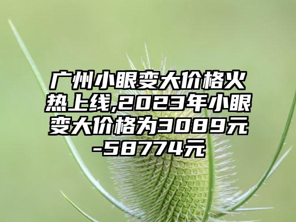 广州小眼变大价格火热上线,2023年小眼变大价格为3089元-58774元